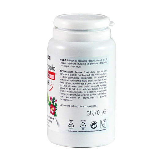 Capsule Organic silicium 24H - 90 capsule - Artiglio del diavolo